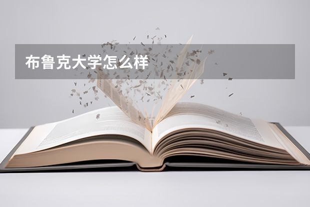 布鲁克大学怎么样