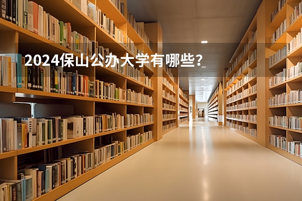 2024保山公办大学有哪些？