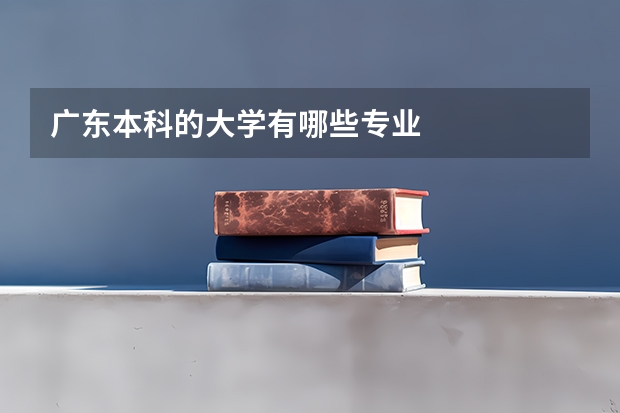 广东本科的大学有哪些专业