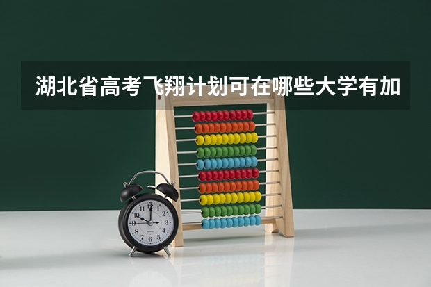 湖北省高考飞翔计划可在哪些大学有加分政策