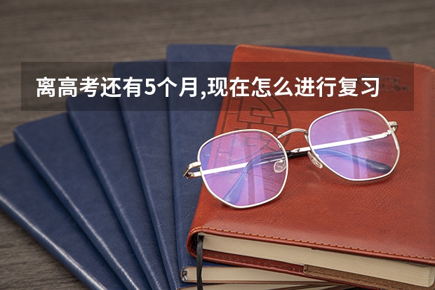 离高考还有5个月,现在怎么进行复习.