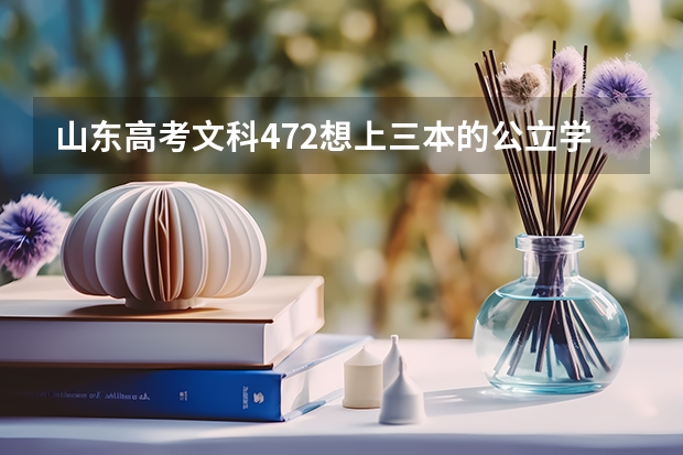 山东高考文科472想上三本的公立学校上哪个大学？