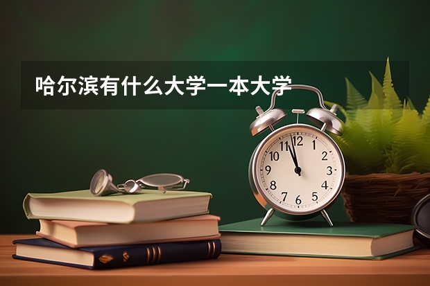 哈尔滨有什么大学一本大学