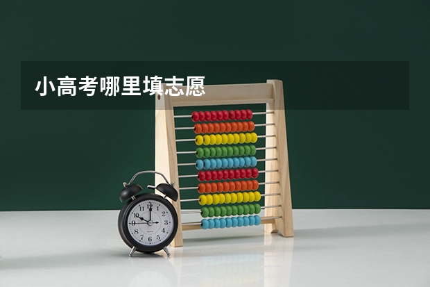 小高考哪里填志愿