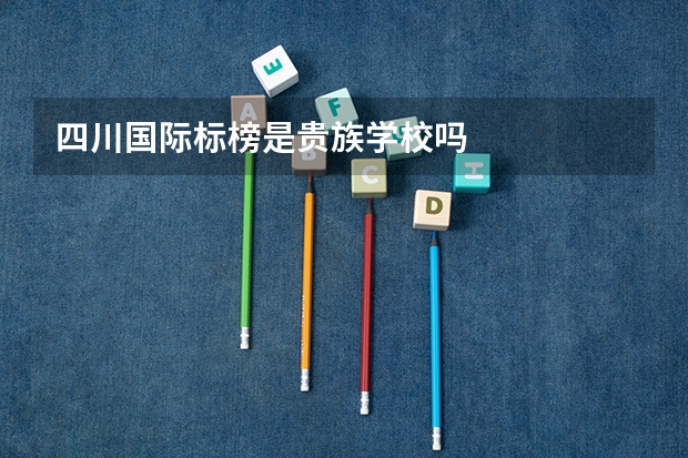 四川国际标榜是贵族学校吗