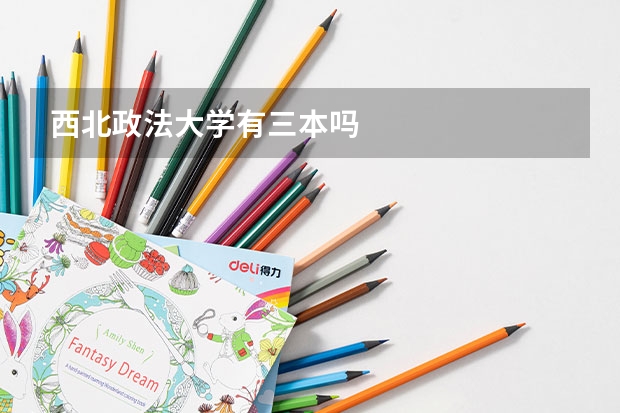 西北政法大学有三本吗