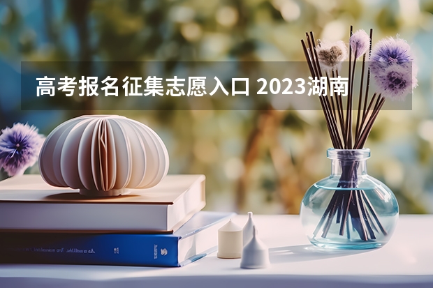 高考报名征集志愿入口 2023湖南成人高考志愿填报时间及系统报名入口？