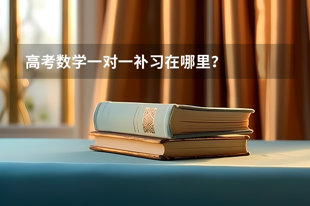 高考数学一对一补习在哪里？