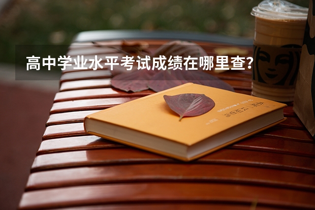 高中学业水平考试成绩在哪里查？