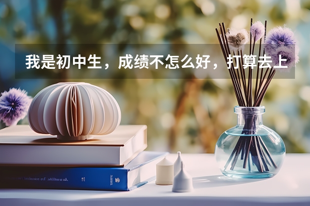 我是初中生，成绩不怎么好，打算去上技校，打算去合肥理工这个学校怎么样？