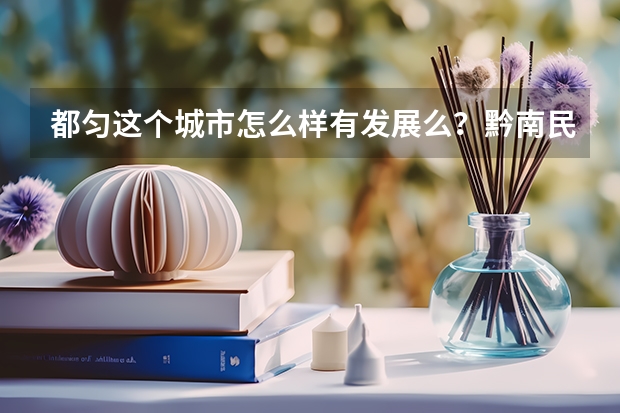 都匀这个城市怎么样有发展么？黔南民族师范学院怎么样？有发展么？