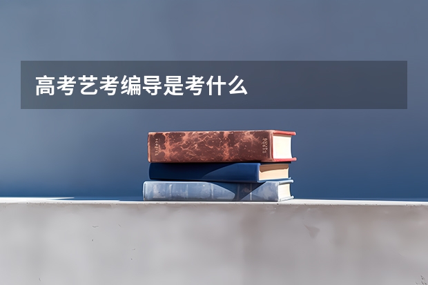 高考艺考编导是考什么