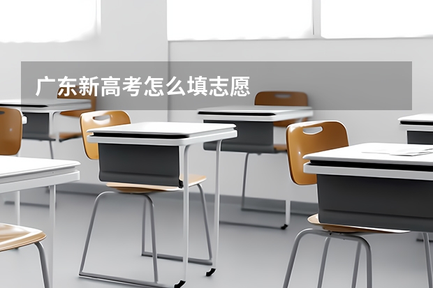 广东新高考怎么填志愿
