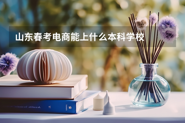 山东春考电商能上什么本科学校