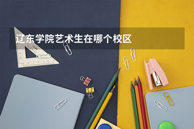 辽东学院艺术生在哪个校区