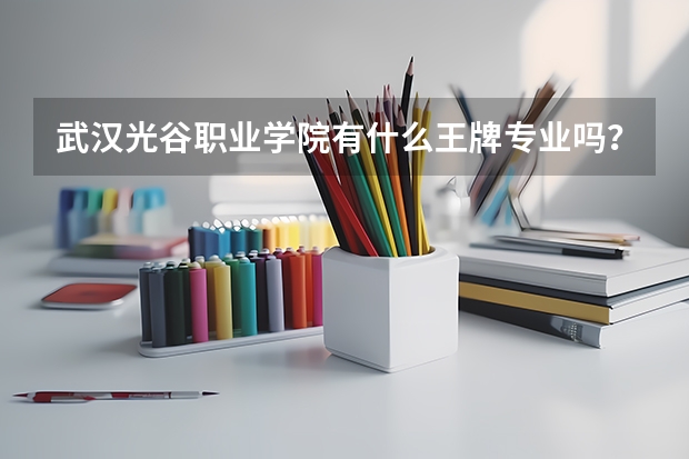 武汉光谷职业学院有什么王牌专业吗？