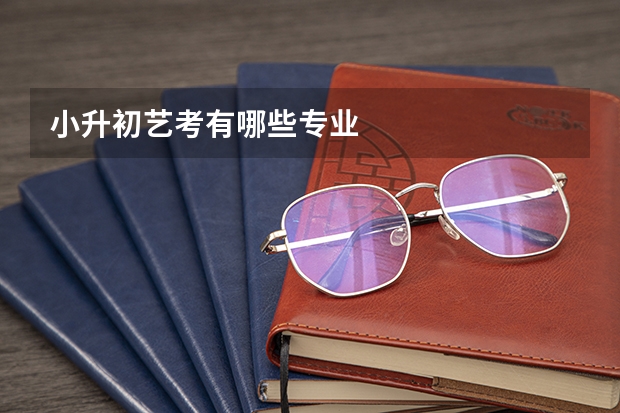 小升初艺考有哪些专业