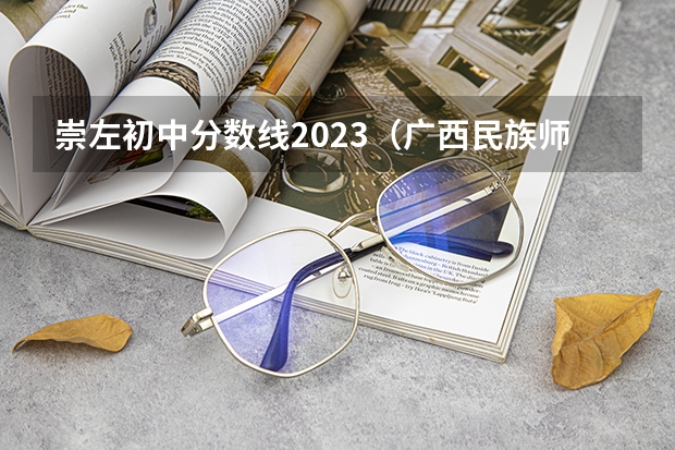 崇左初中分数线2023（广西民族师范学院崇左校区录取分数线）
