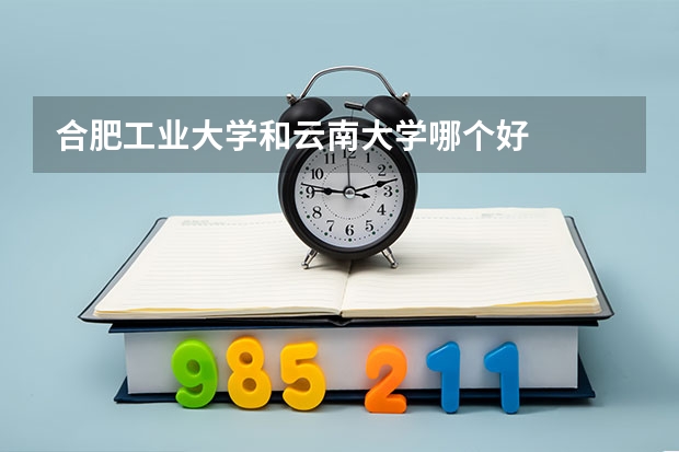 合肥工业大学和云南大学哪个好