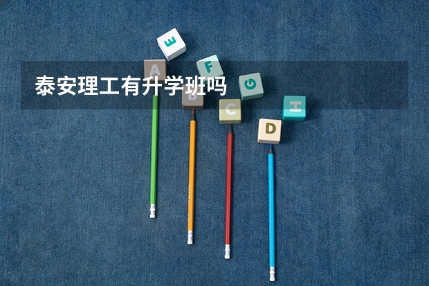 泰安理工有升学班吗