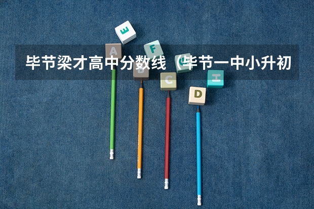 毕节梁才高中分数线（毕节一中小升初录取分数线）