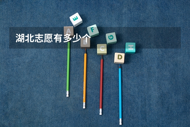 湖北志愿有多少个
