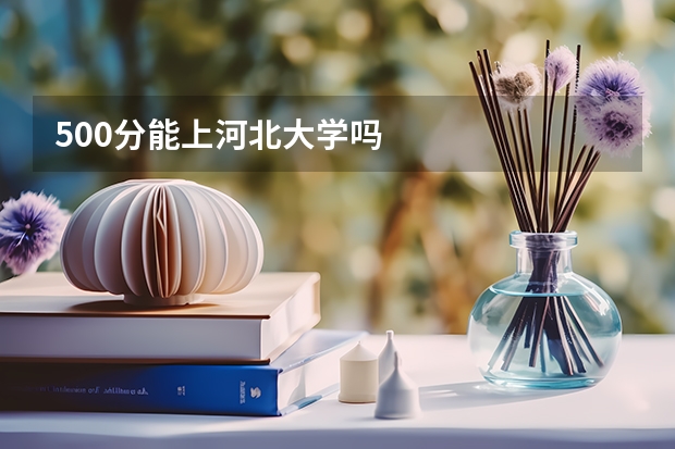 500分能上河北大学吗