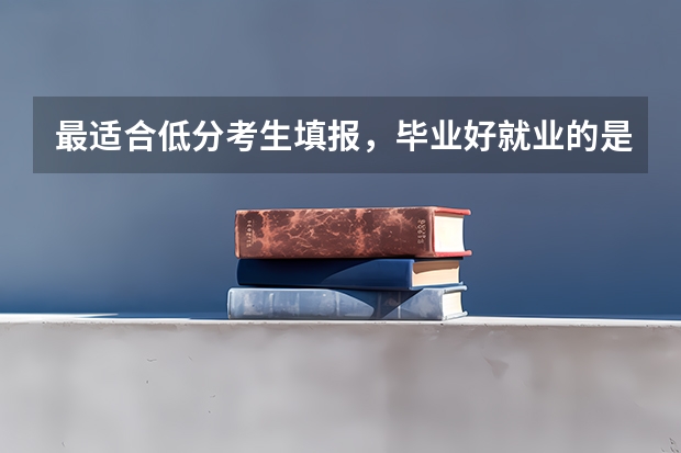 最适合低分考生填报，毕业好就业的是哪10所“专科院校”？（11所各类型排名第一的“专科院校”，适合本科压线生报考）