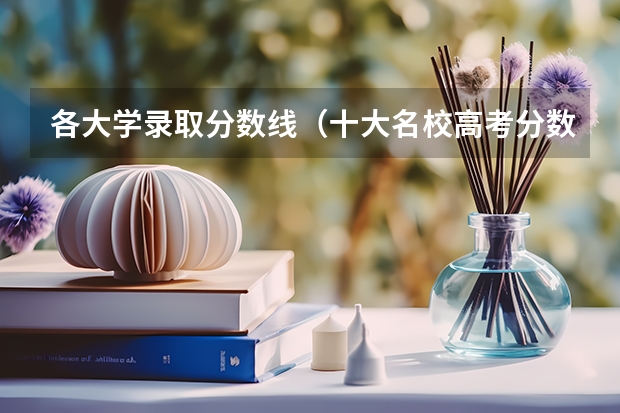 各大学录取分数线（十大名校高考分数线）
