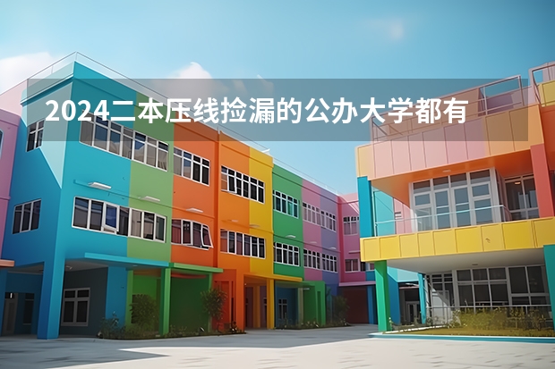 2024二本压线捡漏的公办大学都有哪些
