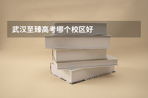 武汉至臻高考哪个校区好