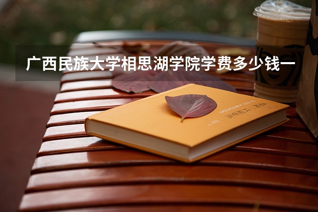 广西民族大学相思湖学院学费多少钱一年