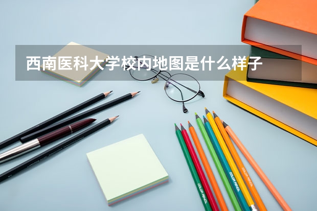 西南医科大学校内地图是什么样子