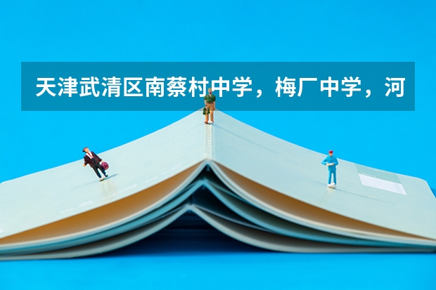 天津武清区南蔡村中学，梅厂中学，河西务中学，英华普通班哪个教学质量更好一些