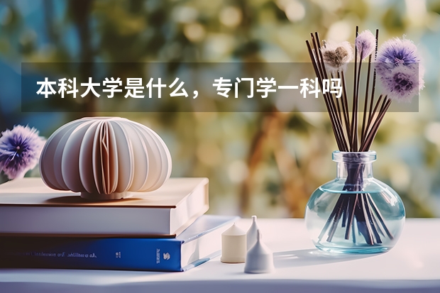 本科大学是什么，专门学一科吗