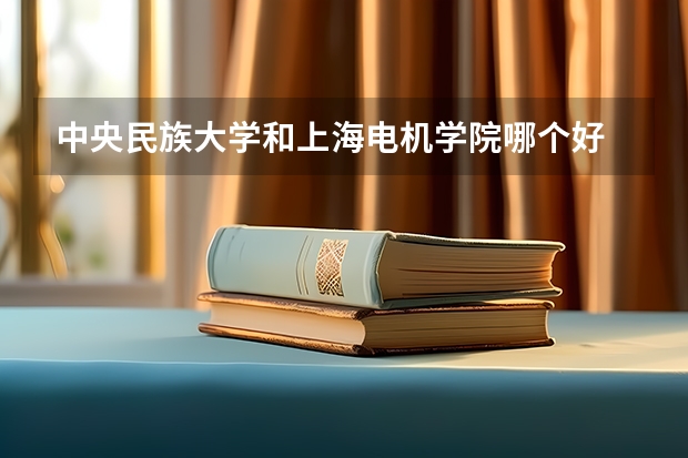 中央民族大学和上海电机学院哪个好 学校历年录取分数线对比