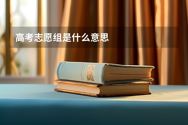 高考志愿组是什么意思