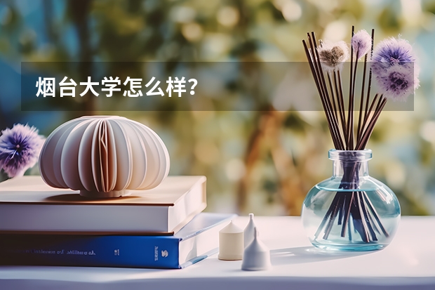 烟台大学怎么样？
