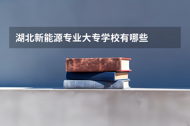 湖北新能源专业大专学校有哪些