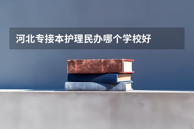 河北专接本护理民办哪个学校好