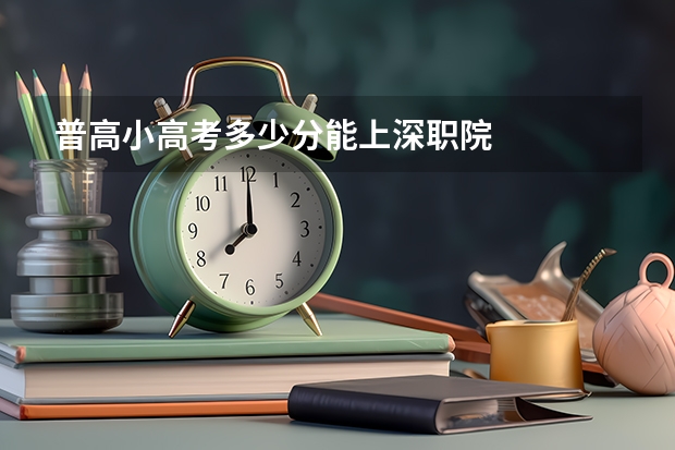 普高小高考多少分能上深职院