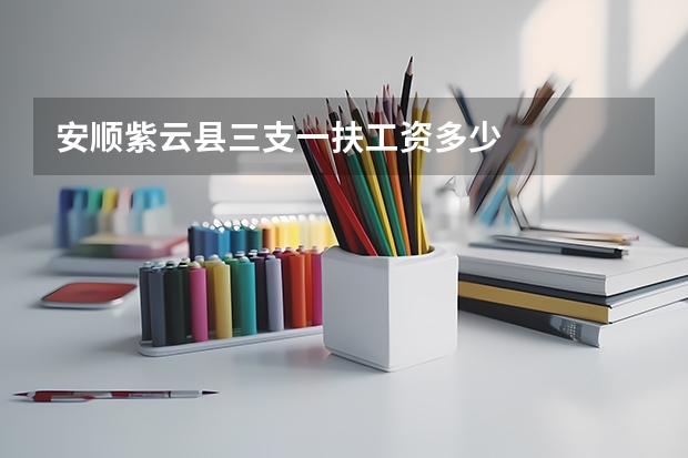 安顺紫云县三支一扶工资多少