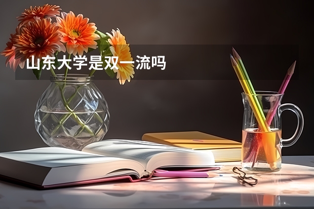 山东大学是双一流吗