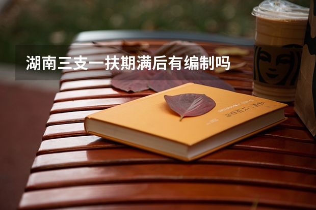 湖南三支一扶期满后有编制吗