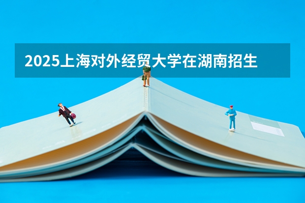 2025上海对外经贸大学在湖南招生计划预测 大概招多少人