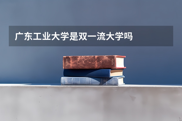 广东工业大学是双一流大学吗