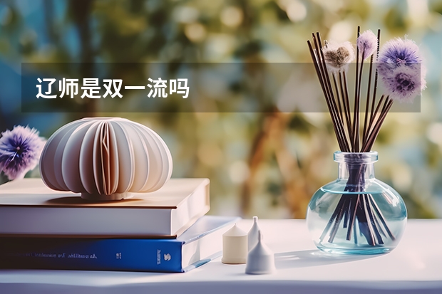 辽师是双一流吗