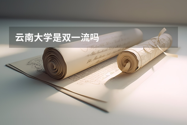 云南大学是双一流吗