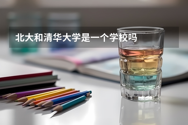 北大和清华大学是一个学校吗