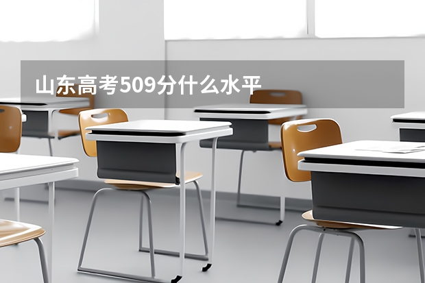 山东高考509分什么水平
